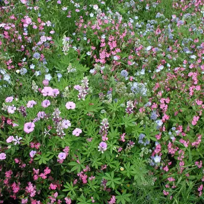 Bloemenmengsel, laag - Afbeelding 1
