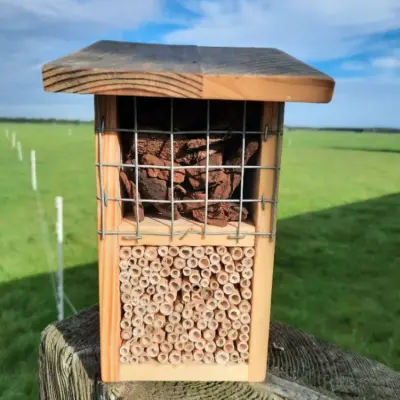 Insectenhotel - Afbeelding 1