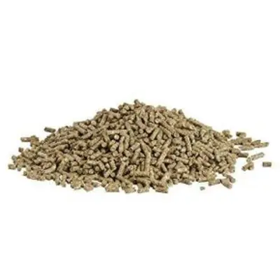 Wolkorrel voor in de tuin - Afbeelding 1