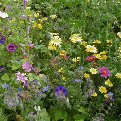 Bloemenmengsel, hoog - Afbeelding 1